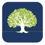 WhiteOak Capital Asset Management Ltd